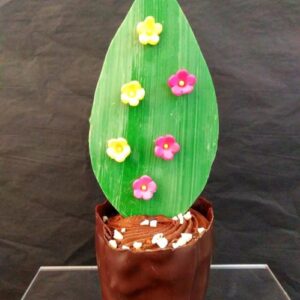 Pot de fleurs printanier vendu uniquement sur Nice et (5 km aux alentours)