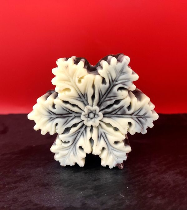 Flocon de neige